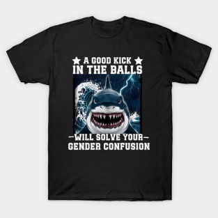 A Kick In The Balls Will Solve Your Gender Confusion T-Shirt